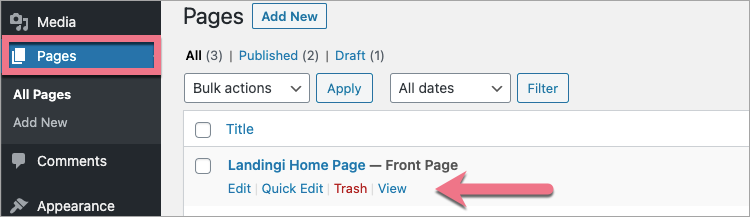 wordpress landingi homepage