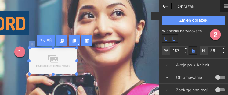 opcje widget&oacute;w landingi