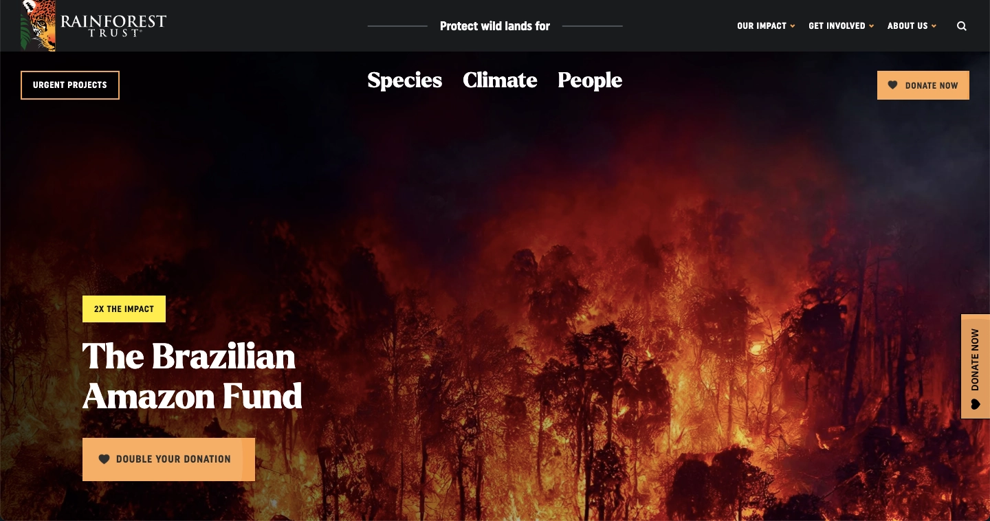 Beispiel f&uuml;r eine Fundraising-Landingpage Rainforest Trust