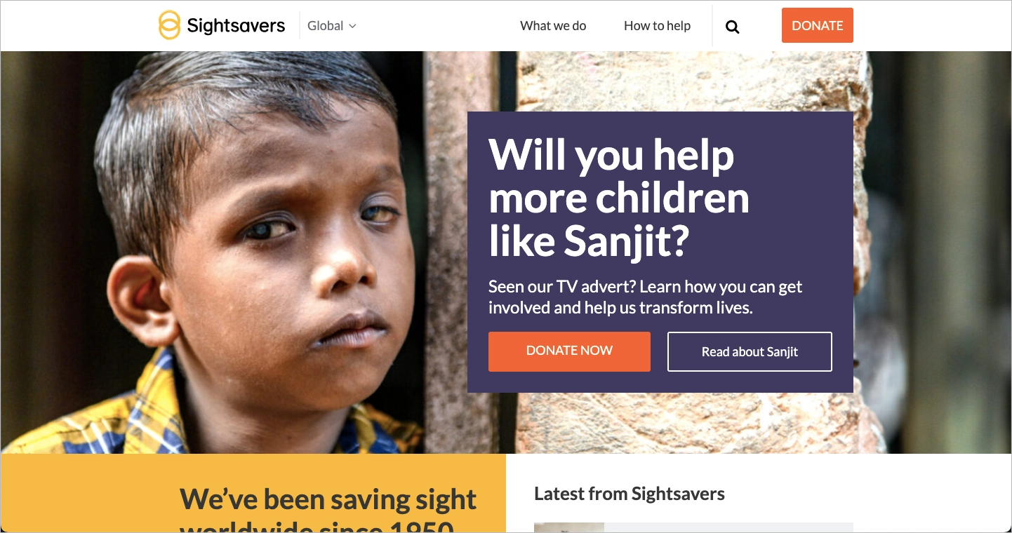 Beispiel f&uuml;r eine Landing Page f&uuml;r wohlt&auml;tige Zwecke: Sightsavers