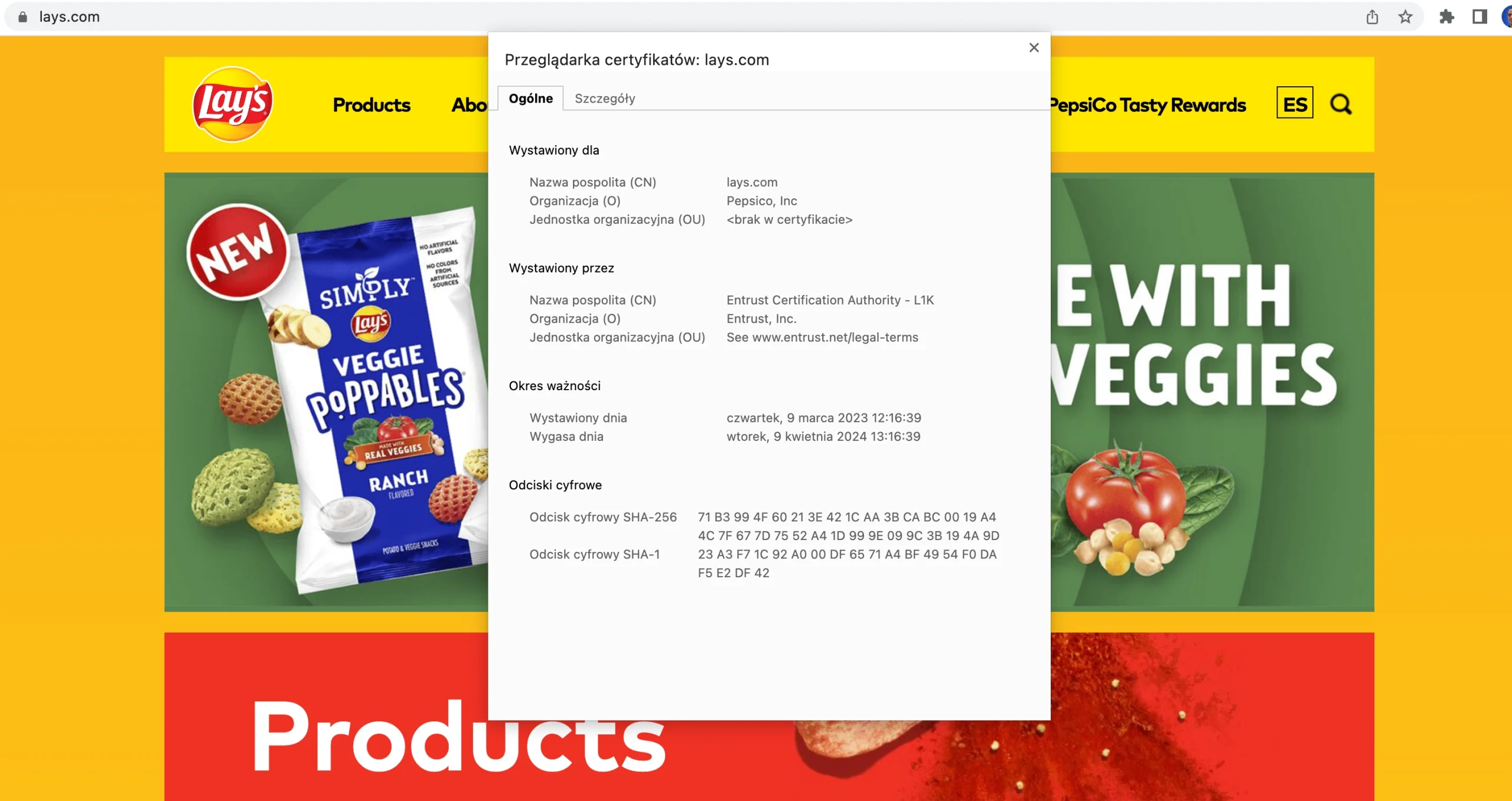 Ważność SSL i dane certyfikatu w przeglądarce