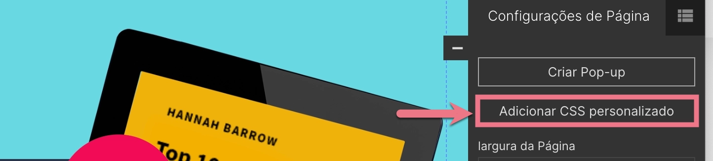 Adi&ccedil;&atilde;o de CSS