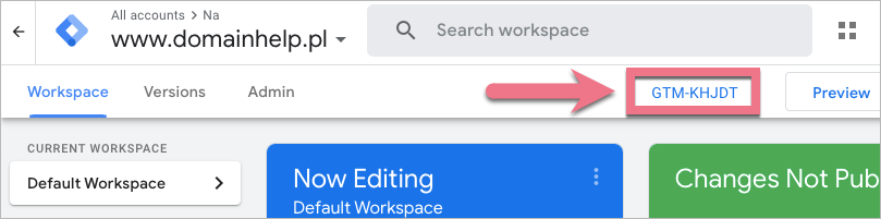 GTM container ID in Workspace view