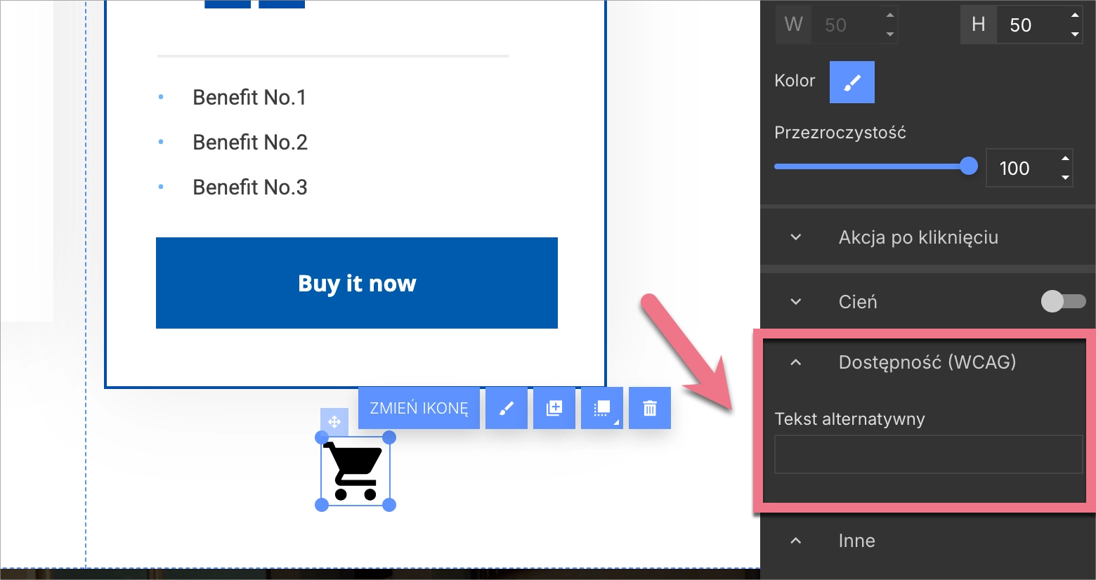 Wpisywanie opisu ALT dla ikony na landing page'u