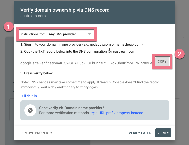 DNS record search console