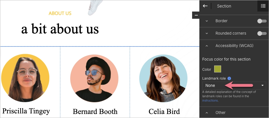 Default landmark role setting