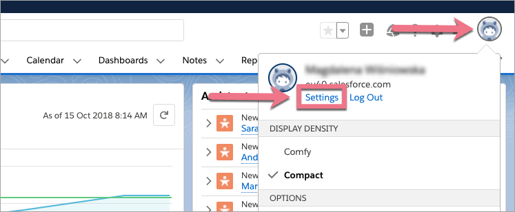 sales force settings