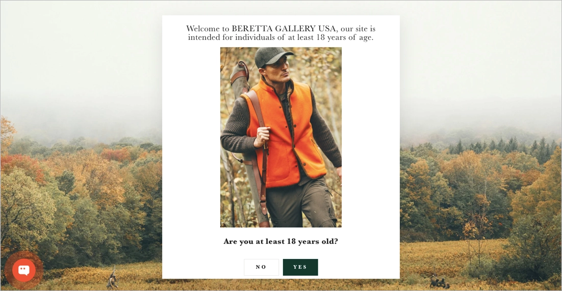 landing page cujo objetivo &eacute; verificar a idade dos visitantes antes de conceder acesso ao site principal