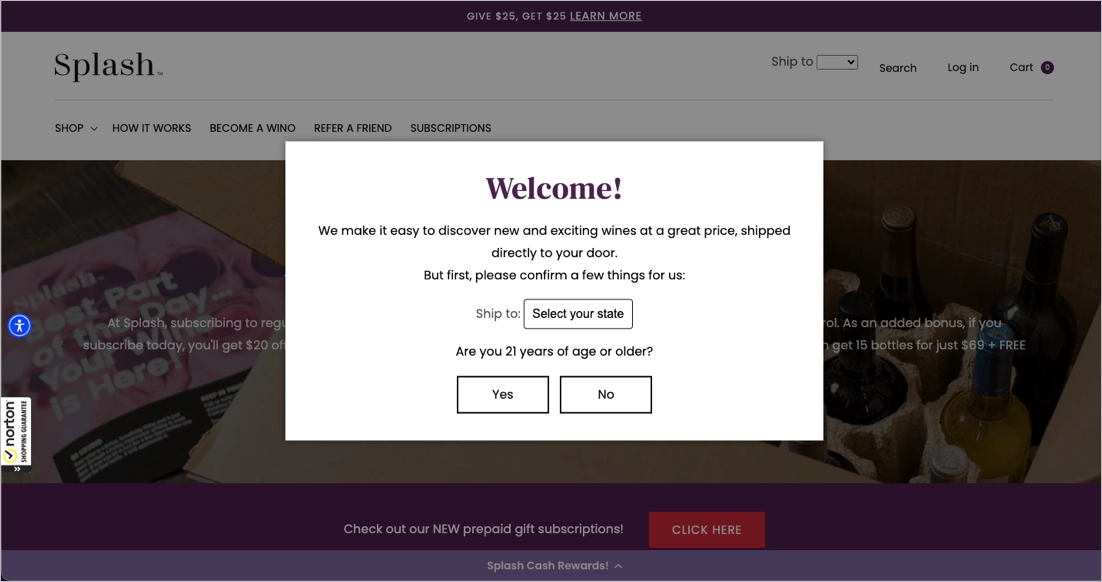 Splash Wines - landing page que informa os visitantes sobre a verifica&ccedil;&atilde;o da idade