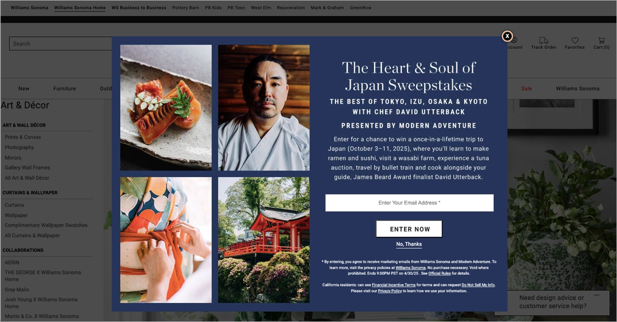 William Sonoma - uma p&aacute;gina inicial que tem o objetivo de gerar leads e apresentar aos visitantes uma promo&ccedil;&atilde;o