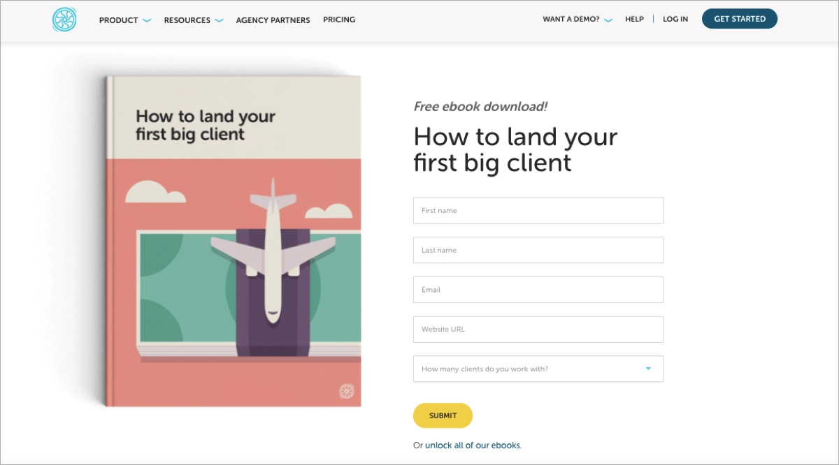 ebook landing page Beispiel