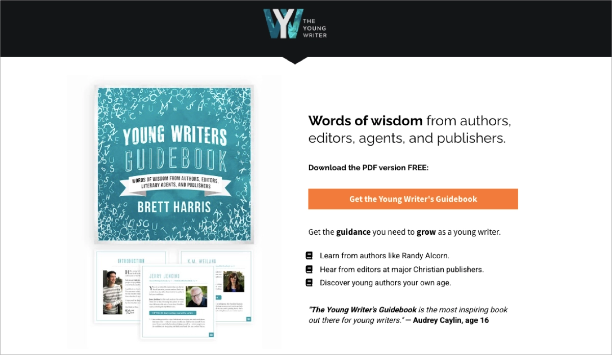 fesselndes ebook landing page