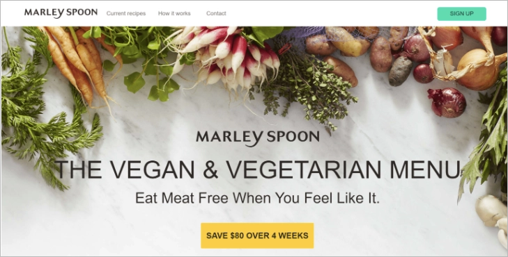 Anmeldung landing page Beispiel