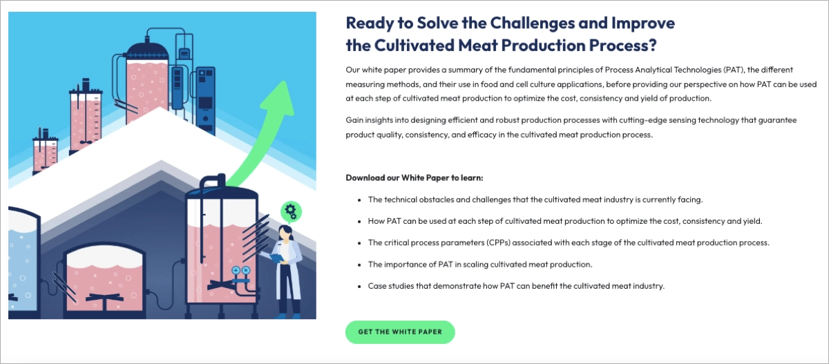 layout di pagina pulito