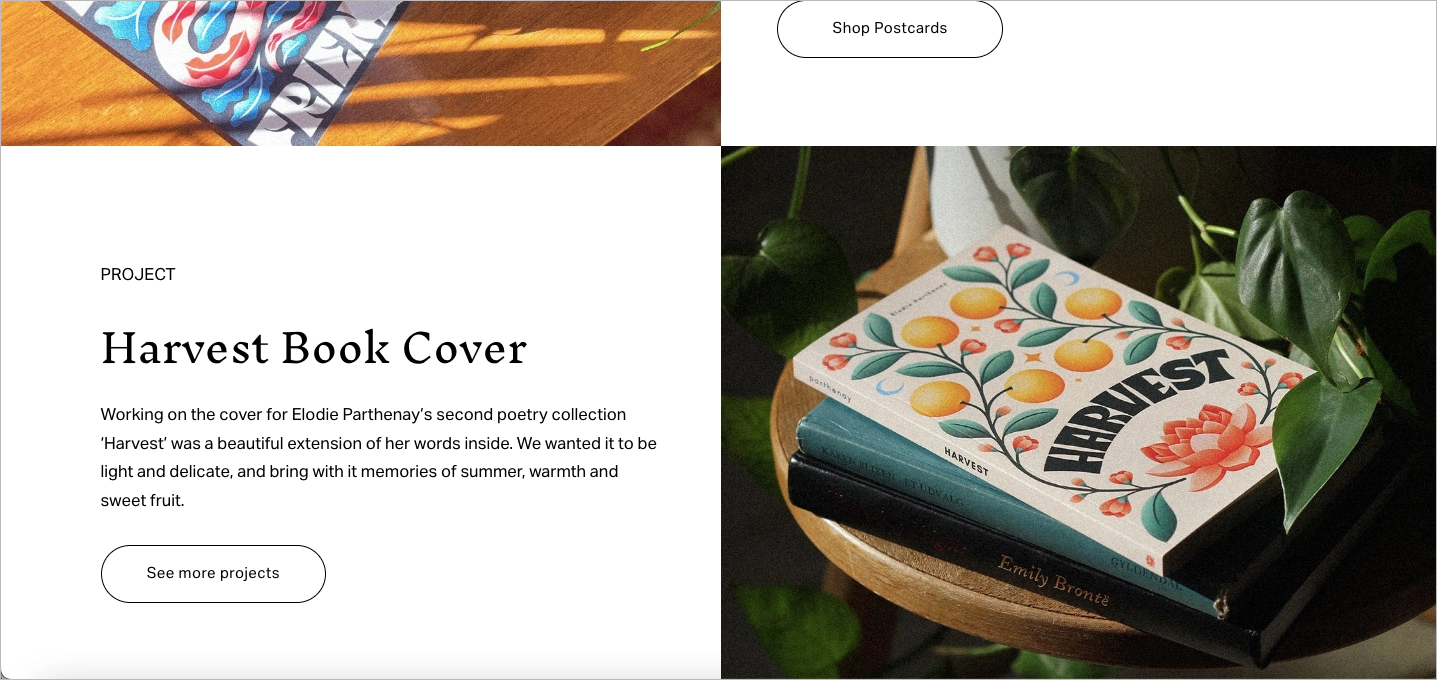 Einflussnehmer landing page Beispiel