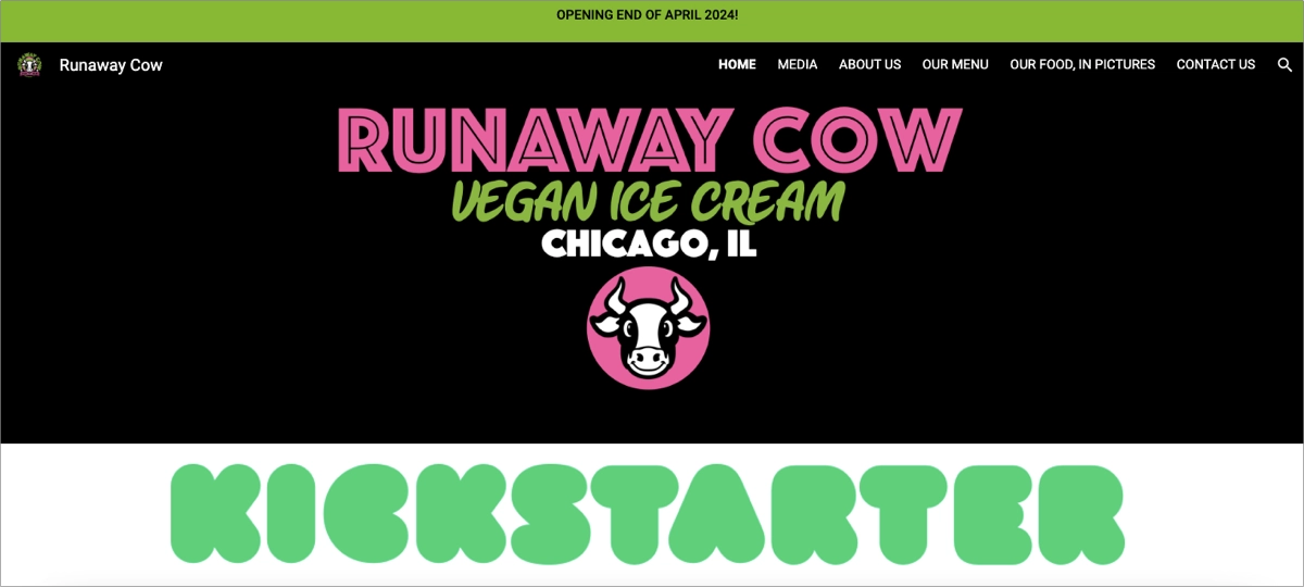 kickstarter landing page exemples