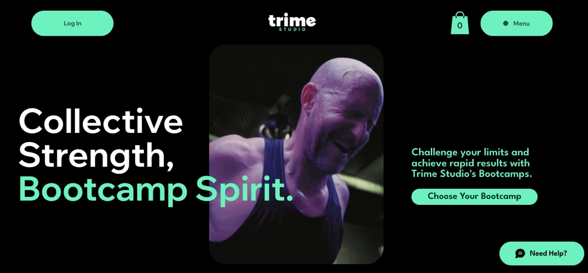 <p>esempi di fitness landing page</p>