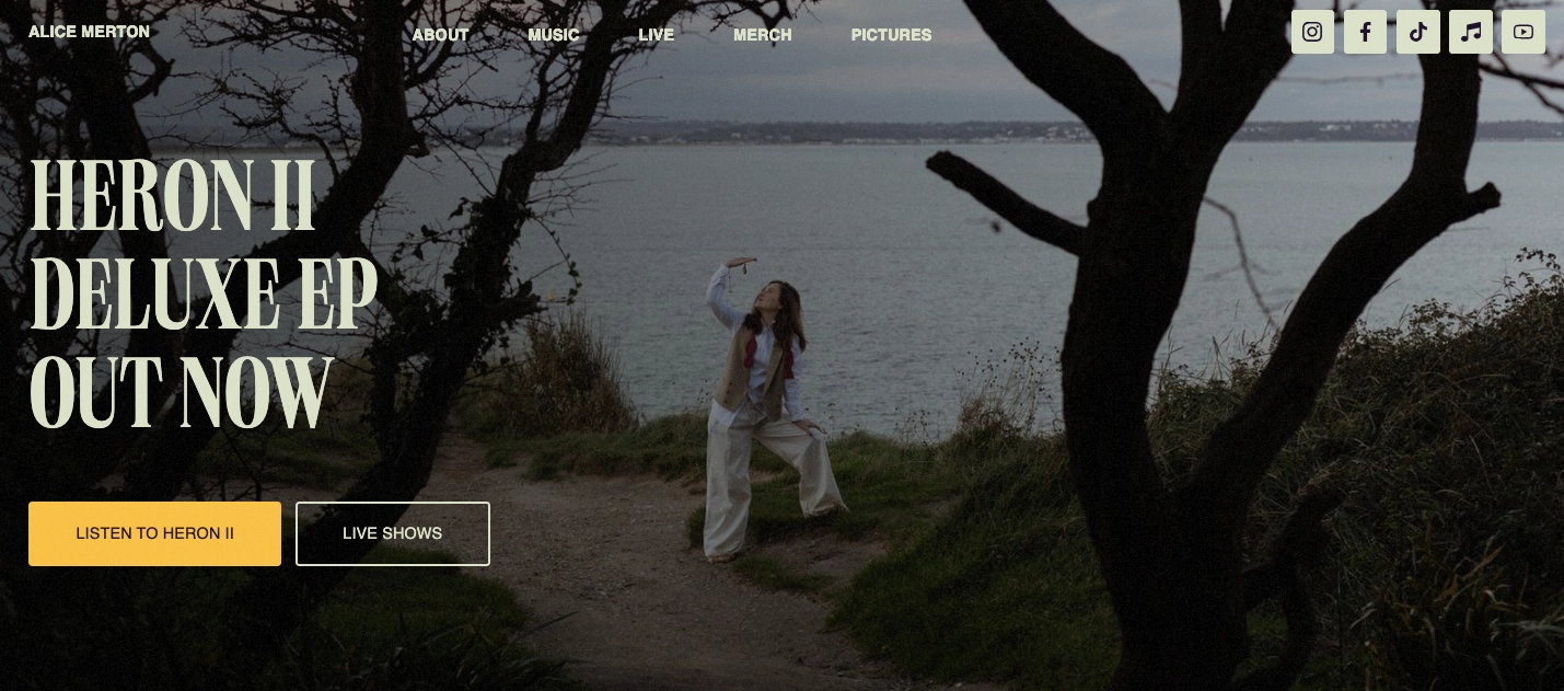 music landing page example