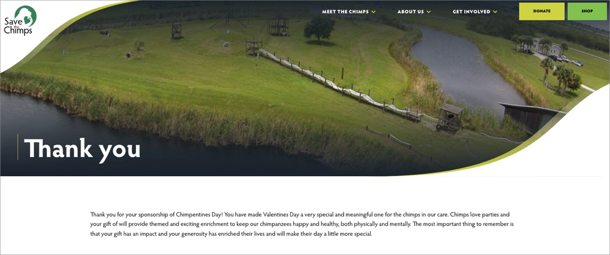 thank you page examples