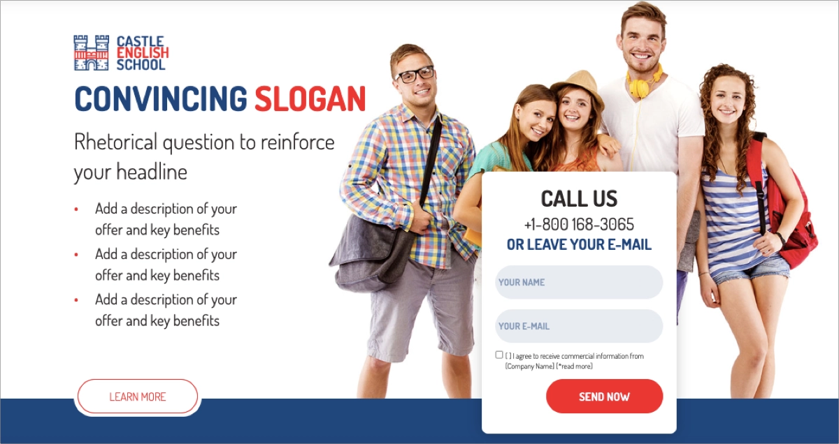 l'utente cerca ppc landing page