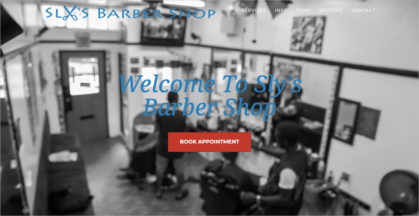 Example of a landing page without a website