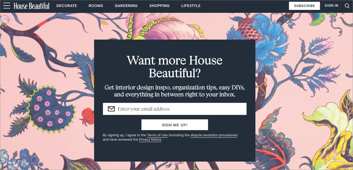 landing page newslettera - strategia lead magnet&oacute;w