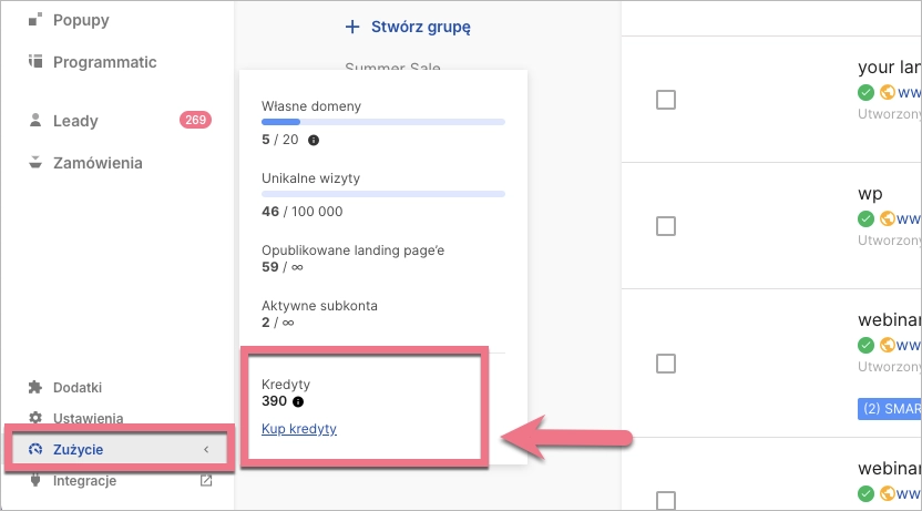 Saldo kredyt&oacute;w w Landingi