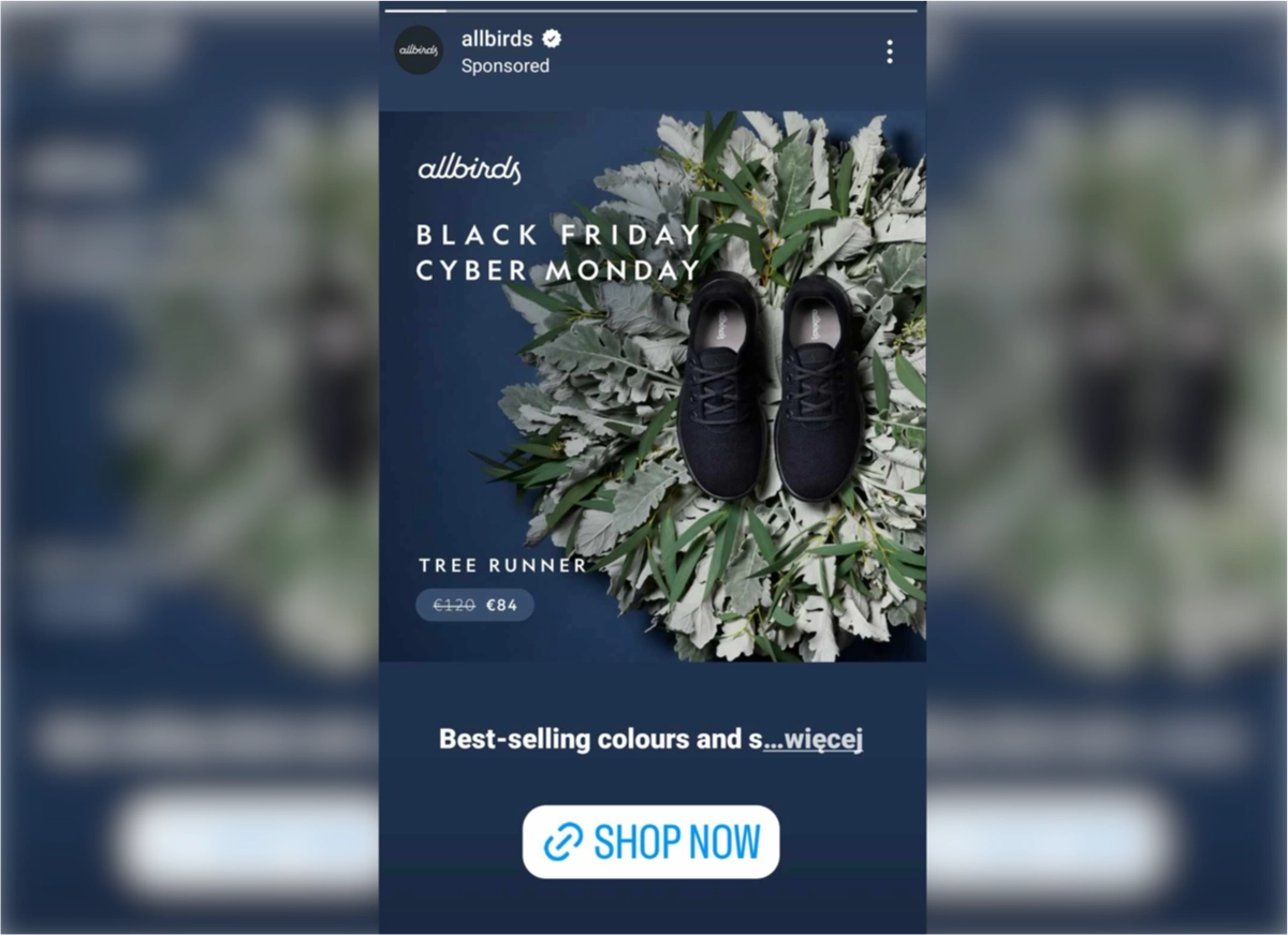 Beispiel einer Allbirds-Anzeige