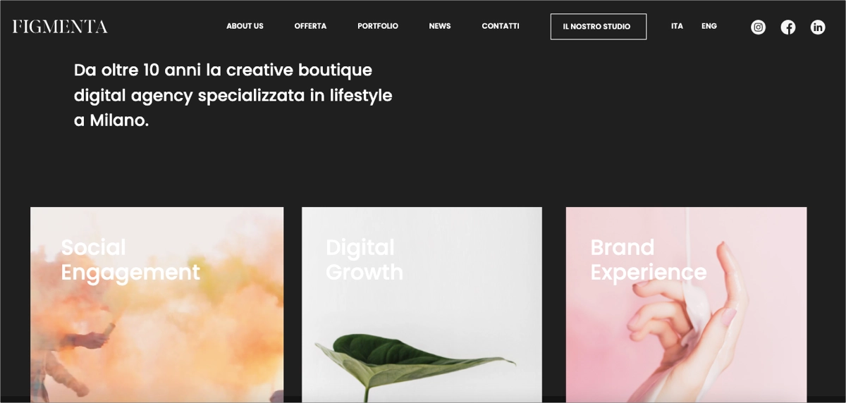 proveedor de servicios de redes sociales y marketing digital