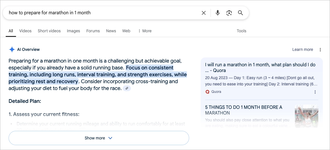 AI overview &ndash; SERP feauture