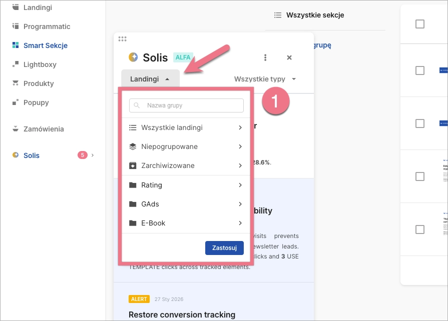 Panel Solis umożliwiający wybór wszystkich landing page'y lub określonej grupy landing page'y.